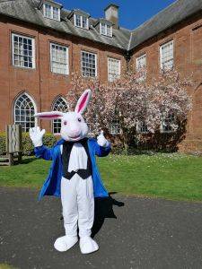 A person in an Easter bunny costume stands before cherry trees at Hartlebury Castle.