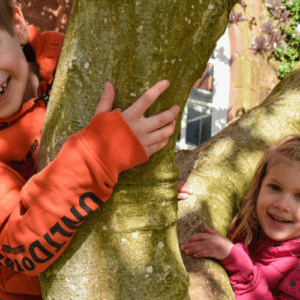 A girl and boy happily climbing in a tree.