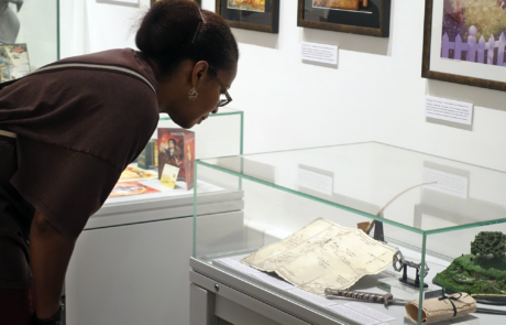 A photo of a visitor looking at a display case at Worcester City Art Gallery and Museum.