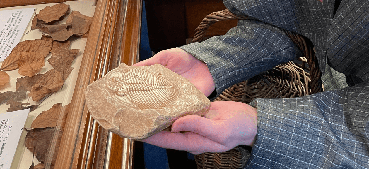 A photo of someone holding a fossil at Worcester City Art Gallery and Museum.