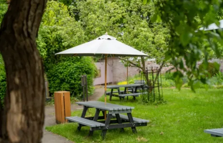 A photo showing the accessible benches in the Orchard Picnic Area.