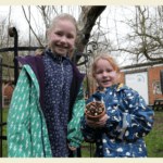 Bee hotel Hartlebury