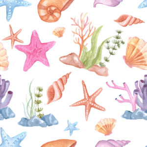 under the sea family trail
