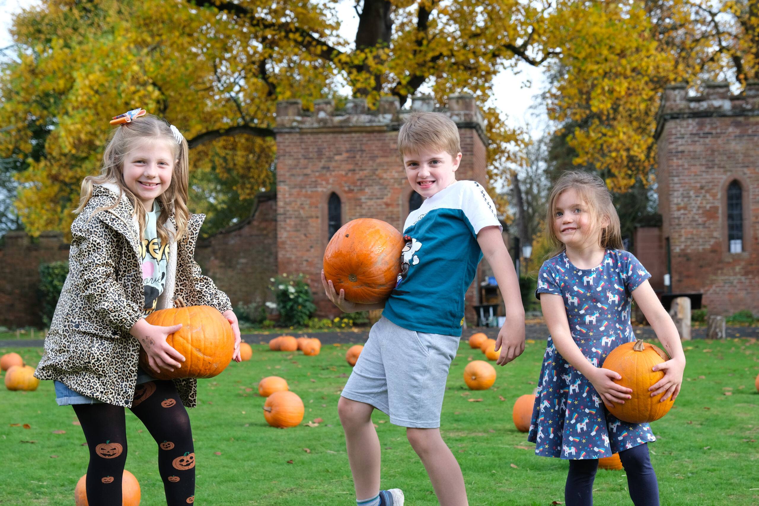 Halloween Hunt at Hartlebury Castle