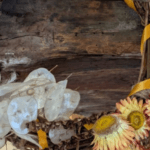 Autumn Wreaths