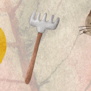 Secret Gardens - bags of fun