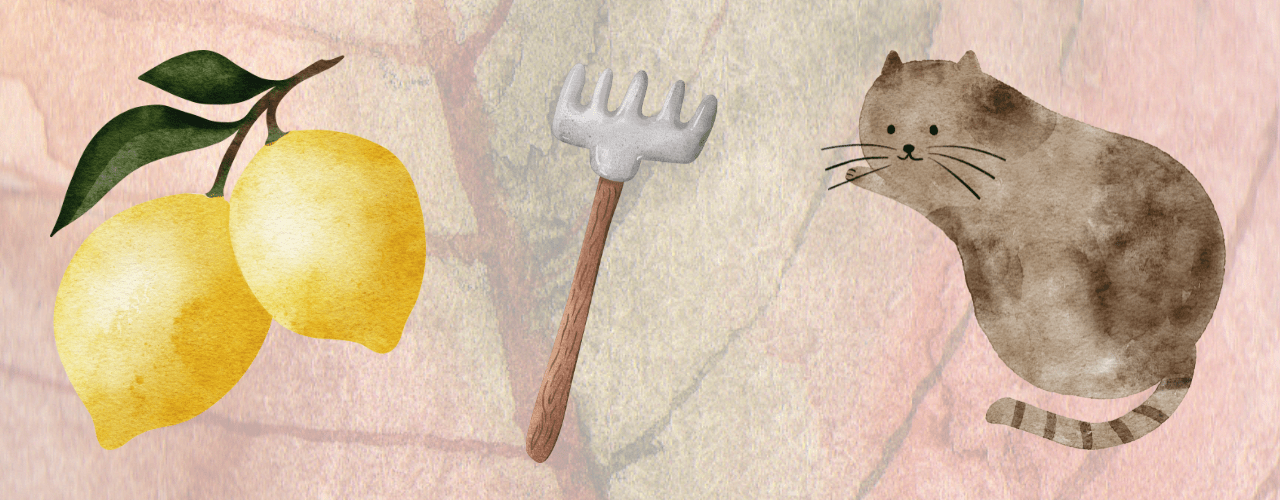 Secret Gardens - bags of fun