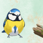 Brilliant Birds at The Commandery